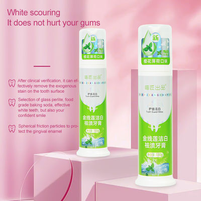 Multifunction Cleaning Oral Teeth Whitening Press Foam Toothpaste for Adults Custom Logo